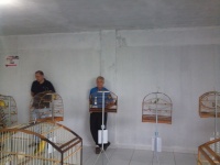 Pruner de olho...