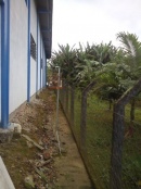 Canto livre