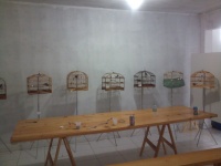 Pardinhos