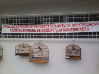 Entrada BAC- Regra número 01