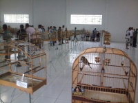 Roda Coleiro
