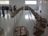 Roda Coleiro
