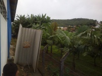 Canto livre