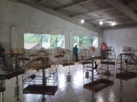 Roda de Azulão