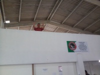 Com as bençãos do Galo