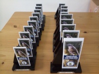 Troféus até 20º lugar
